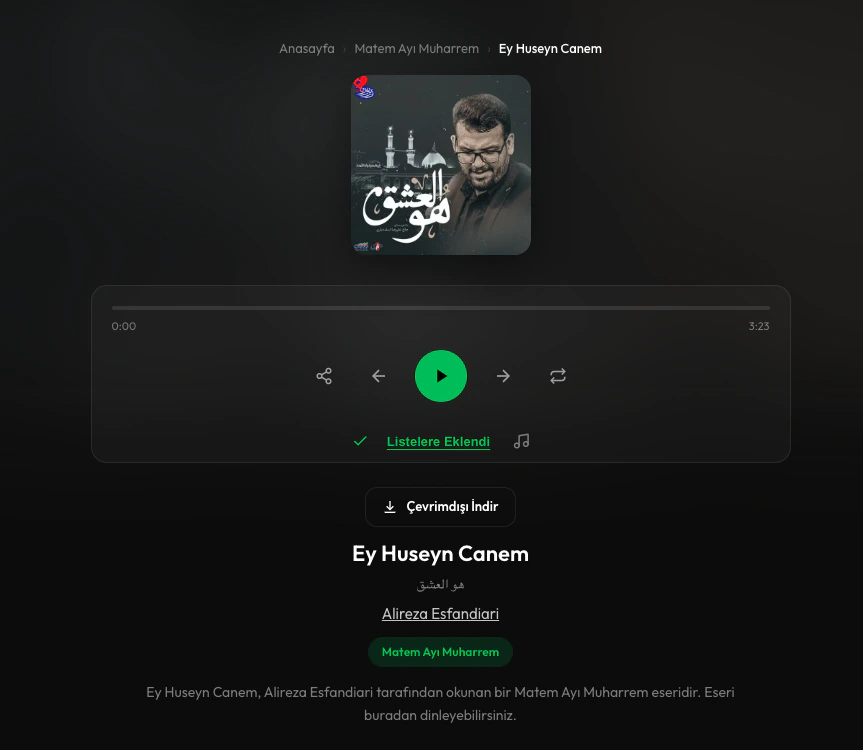 Bir sinezen sayfasında oynatıcının altındaki "Çevrimdışı İndir" düğmesi